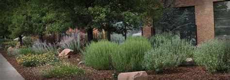 Pin By Brian Christensen On Utah Xeriscape Commercial Landscaping