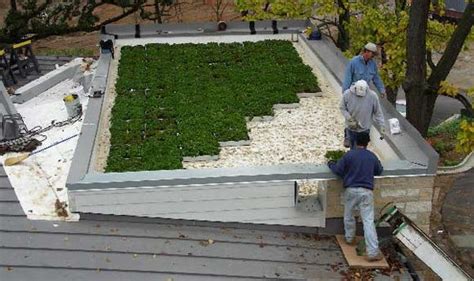 Green Roofs Benefits Design And Cost Cool Flat Roof