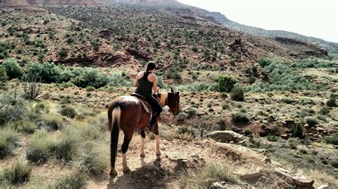 Moab Utah Canyons Horseback Riding Horseback Riding Moab Utah Canyon