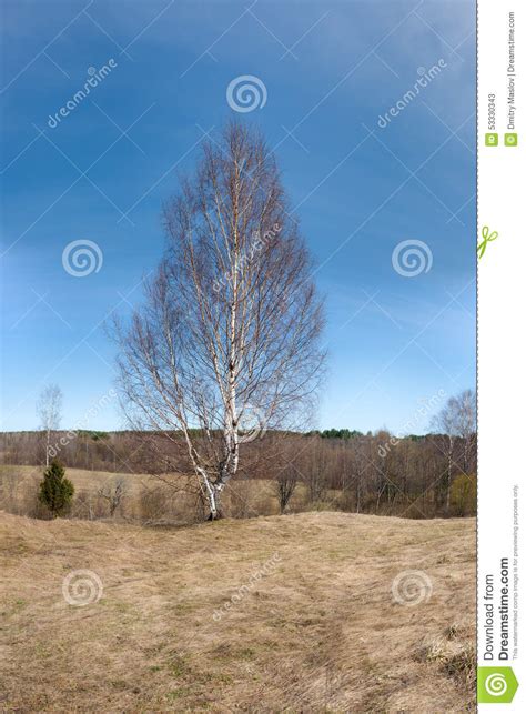 Early Spring Landscape Stock Image Image Of Outdoors 53330343