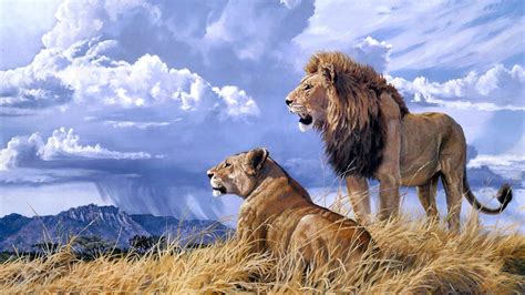 Head and body, 4.5 to 6.5 ft (1.4 to 2 m); Pride Art Lion Animals Ultra 3840x2160 Hd Wallpaper ...