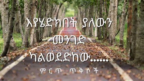 ከብዙ ምክር የተሻሉ አነቃቂ አባባሎችababaloch Amharicbest Inspirational Quotes