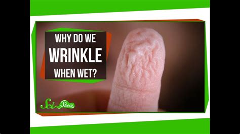 Why Do We Wrinkle When Wet Educational Hours