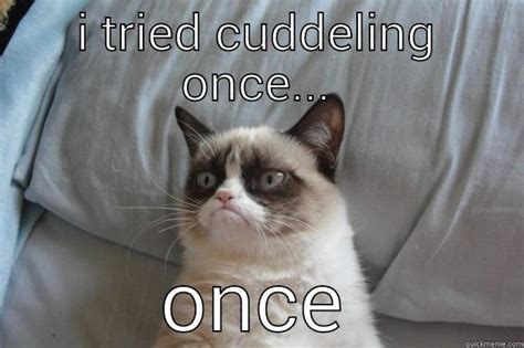 Grumpy Cat Cuddle Quickmeme