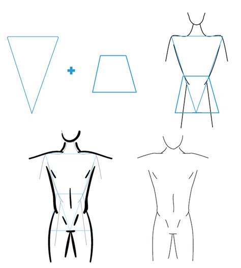 How To Draw Different Body Types For Males And Females Envato Tuts