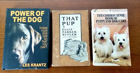 Vintage Dog Books Bundle Of Dog And Puppy Books Old Dog Books Etsy