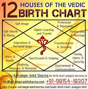 Infographics Astrologer Ankit Sharma