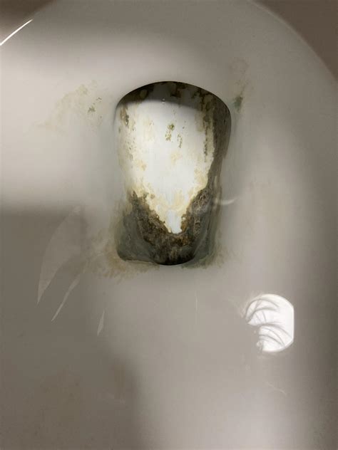 How Do I Remove This Super Hard Buildup In Toilet Bowl Apparently