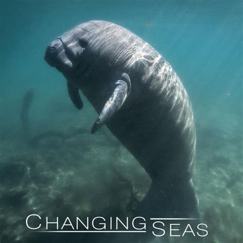 Florida Oceanographic Society Changing Seas