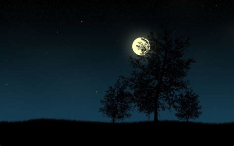Moon Trees Night Hd Wallpapers Desktop And Mobile