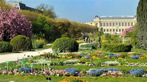 Le Jardin des Plantes a rouvert ses portes à Paris !  Paris Secret