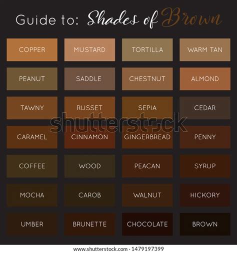 Shades Brown Vector Brown Color Palette Stock Vector Royalty Free
