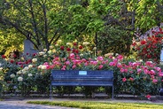 Rose Garden, State Capitol Park, Sacramento CA (C60_5270_1… | Flickr