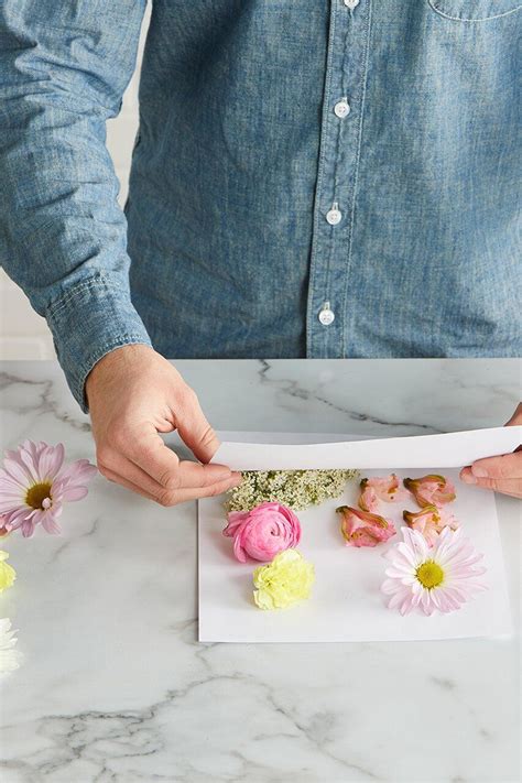 How To Make Your Own Pressed Flowers And Preserve Your Favorite Blooms