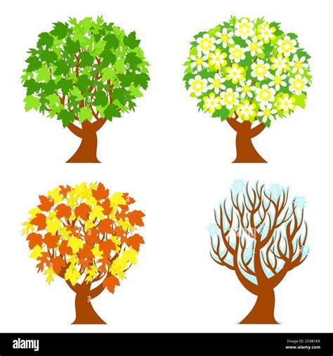 Arbres En Train De Changer Banque D Images Vectorielles Alamy