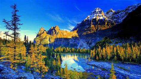 Lake Between Leafed Trees And White Covered Mountains Under Blue Sky