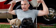 'Dog Whisperer' Cesar Millan under investigation for animal cruelty ...