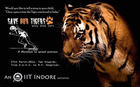 Save Tiger Marathon Poster By Vkb0310 On Deviantart