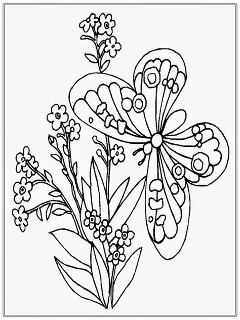 Coloring is the application of colors on a surface that is done through many ways. Adult Coloring Pages Butterfly | Realistic Coloring Pages