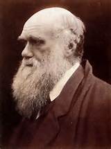 Photos of Wiki Darwin Theory Evolution