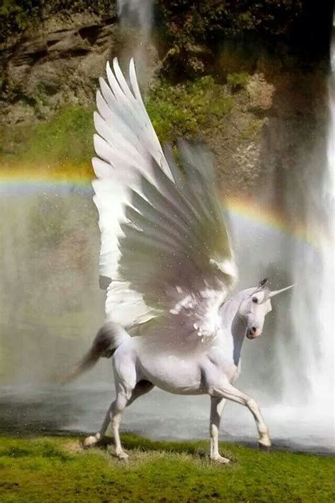 115 Best Unicorns And Pegasus Images On Pinterest