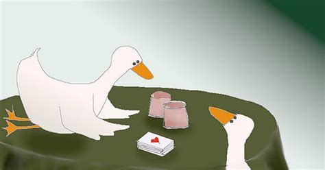 Ducks Are Easily Confused By Magic Tricks Album On Imgur