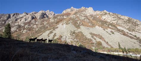 Ala Archa National Park In Kyrgyzstan