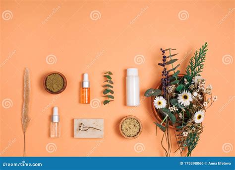 Modern Apothecary Concept Stock Photo Image Of Green 175398066