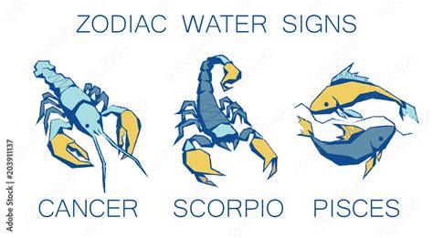 Collection Of Zodiac Signs Vector Illustration Of Water Zodiacal