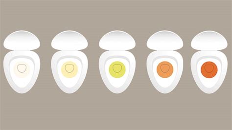 What Do The Color And Smell Of Your Urine Tell You Everyday Health