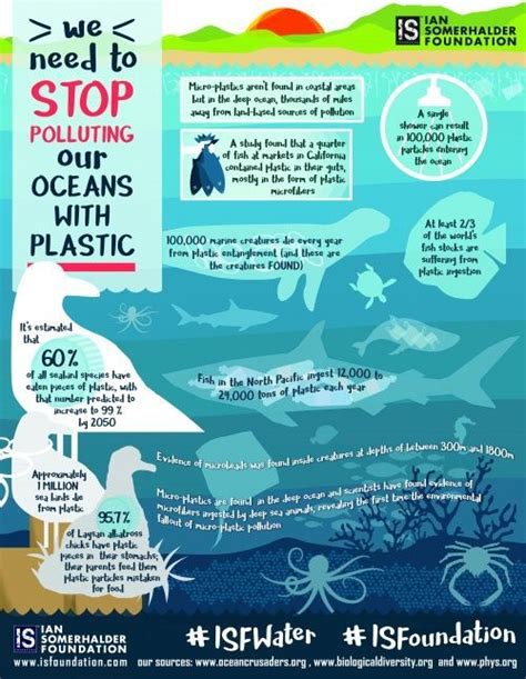 Ocean Plastic Pollution Impact On Animals Ian Somerhalder Foundation