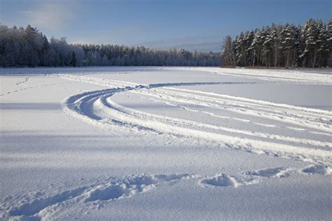 Tracks On Snow Stock Photo Image Of Track Tire Landscape 81209240