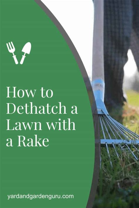 Never dethatch when your lawn is dormant or stressed; How to Dethatch a Lawn with a Rake