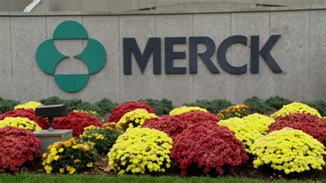Merck Inks 28b Velosbio Buyout To Snag Anti Ror1 Adc Fierce Biotech