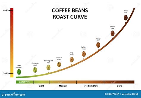 Coffee Roasting Levels Roast Curve Optimal Temperature For Roasting