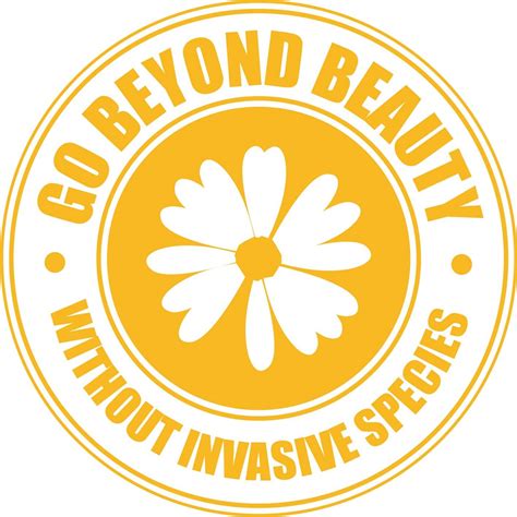 Go Beyond Beauty