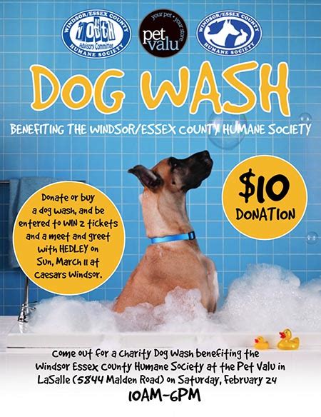 Windsor Essex County Humane Society Dog Wash (Pet Valu Lasalle)