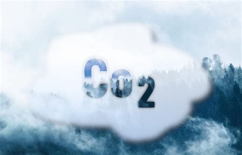 Household Co2 What Causes High Carbon Dioxide Levels Youngs Home