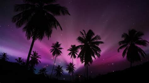 Hd Wallpaper Earth Sunset Palm Tree Purple Silhouette Sky Starry