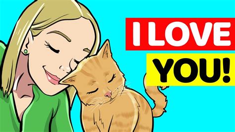 12 Guaranteed Signs Your Cat Loves You Youtube