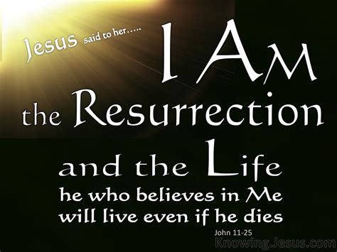 John 1125 The Resurrection And The Life White