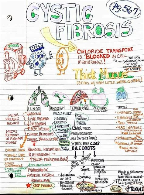 Cystic Fibrosis Ati Template