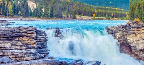 Athabasca Falls Jasper National Park Book Tickets And Tours Getyourguide