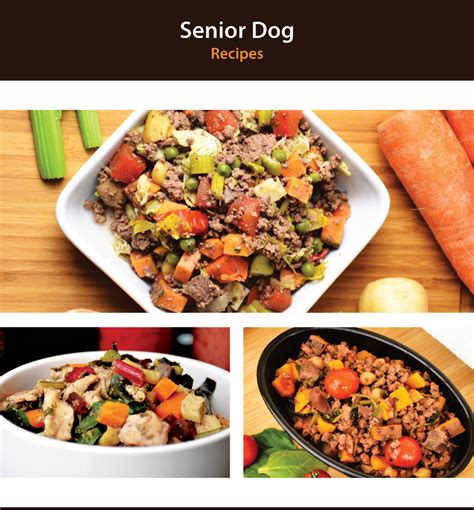 Homemade Dog Food Recipes For Senior Dogs The Canine Nutritionist
