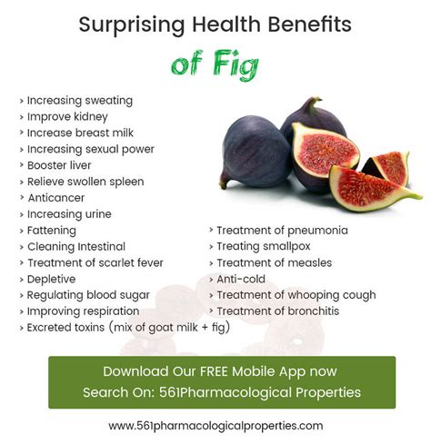 Surprising Health Benefits Of Fig By About561 On Deviantart