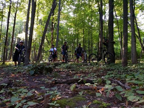 Raceway Woods Photo Singletrackscom