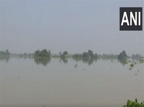 Flood Situation In Assams Morigaon Deteriorates People Forced To Leave Their Homes