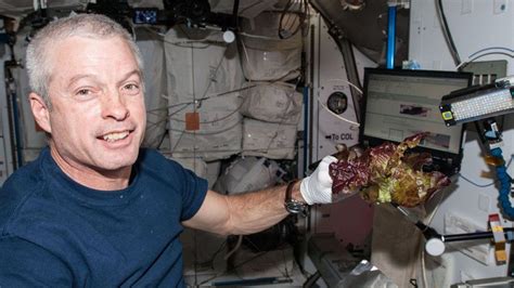 Nasa Delicious Lettuce Has Been Successfully Grown On The