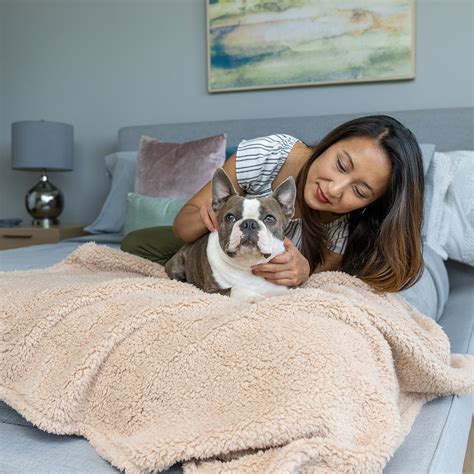 Cozy Calming™ Blanket Alpha Paw