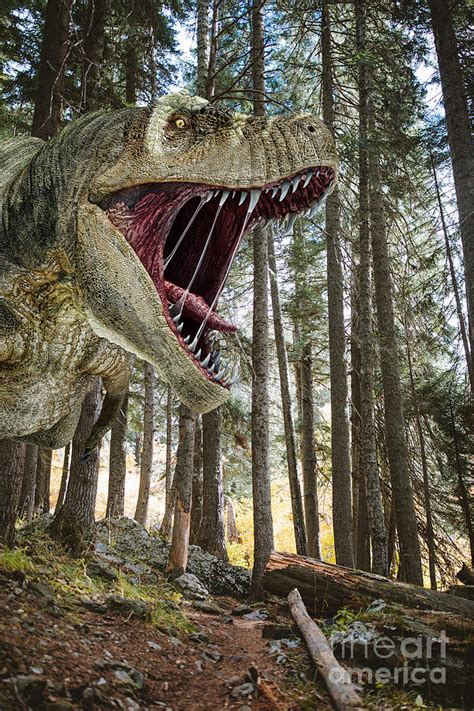 T Rex Dinosaur Photograph By Leonello Calvettiscience Photo Library